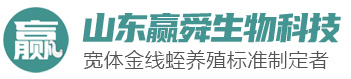 ys_01 维多利亚老品牌vic